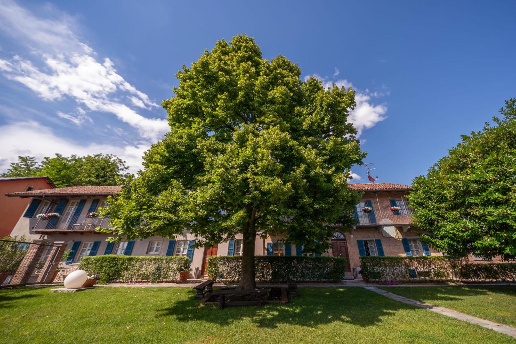 La Madernassa Resort - Casalora Dimora Storica Di Charme Guarene Exteriör bild